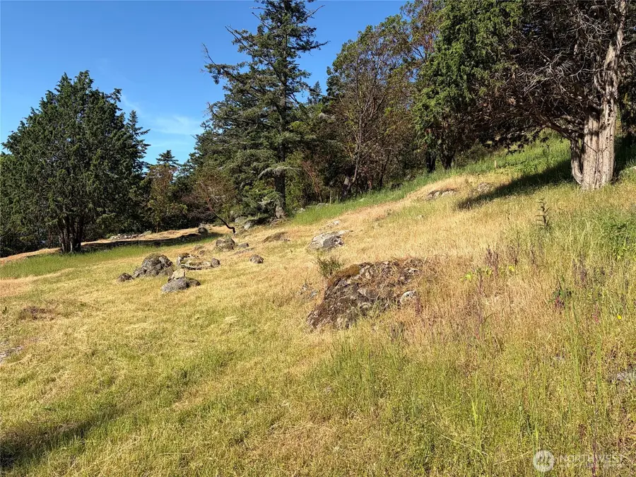 1024 Deer Harbor Road, Eastsound, WA 98245 - #2