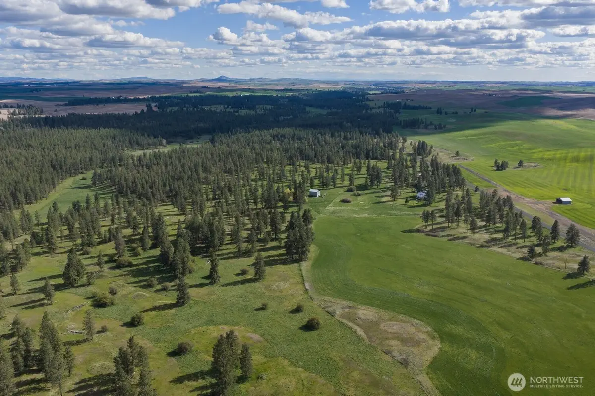 32312 North Pine Creek Road S, Spangle, WA 99031 - #1