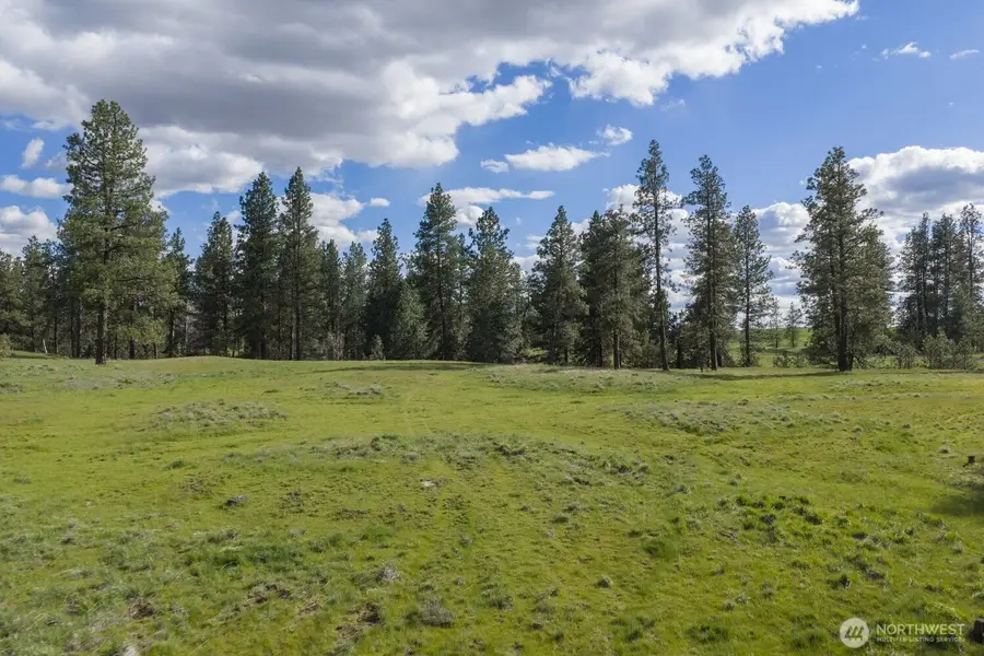 32312 North Pine Creek Road S, Spangle, WA 99031 - #3