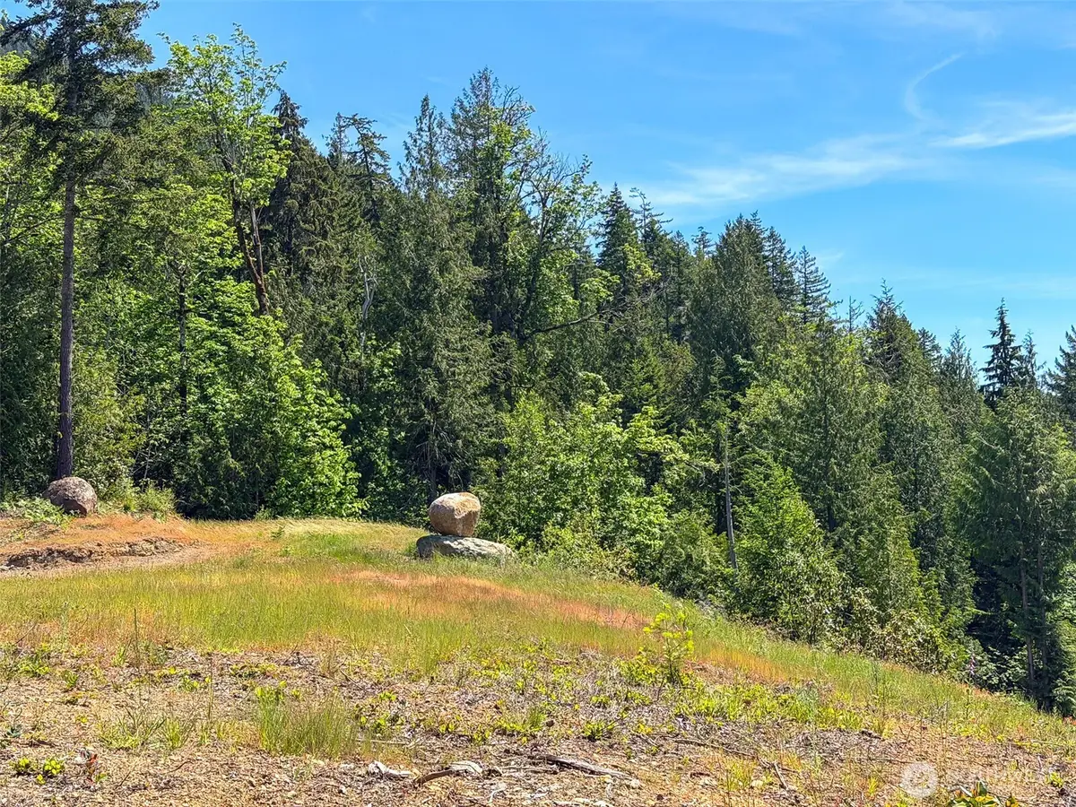 111 Rocky Brook Road, Brinnon, WA 98320 - #1