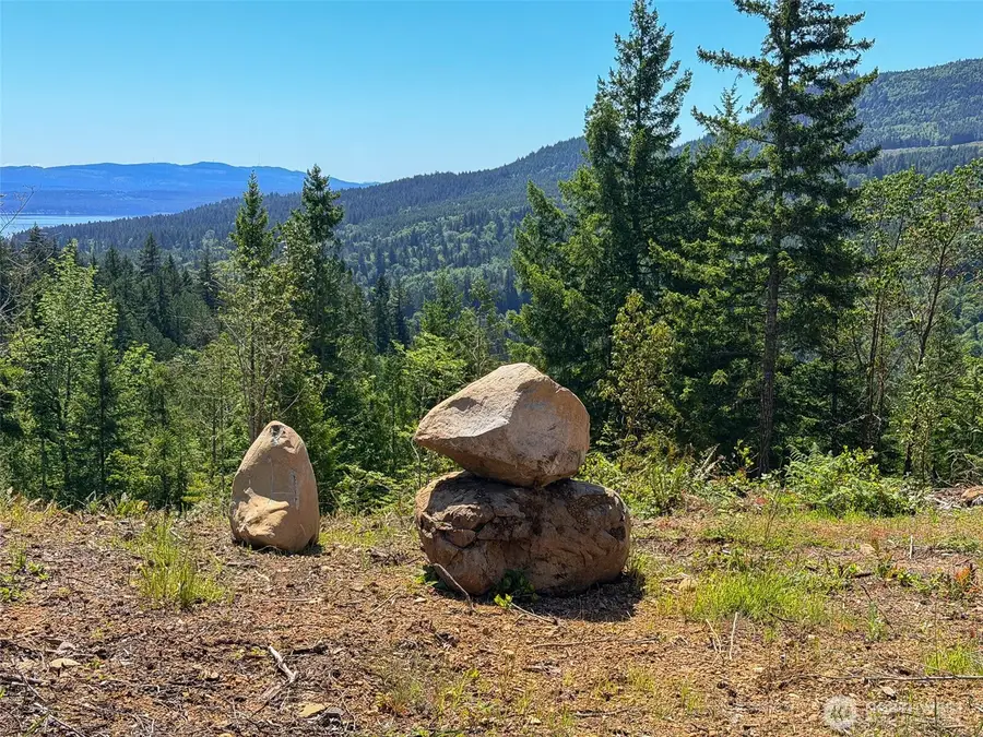111 Rocky Brook Road, Brinnon, WA 98320 - #2