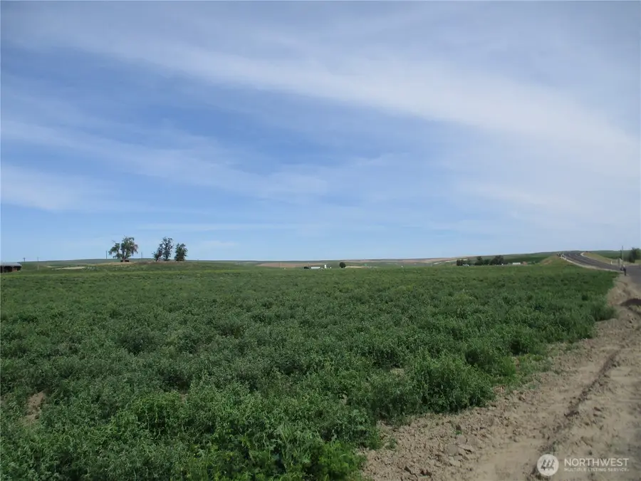 669 Cummins Road, Touchet, WA 99360 - #2