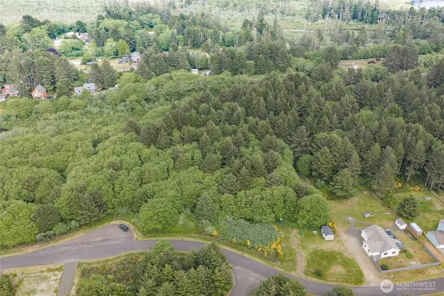 0 Ocean Boulevard, Ocean Shores, WA 98569 - #2