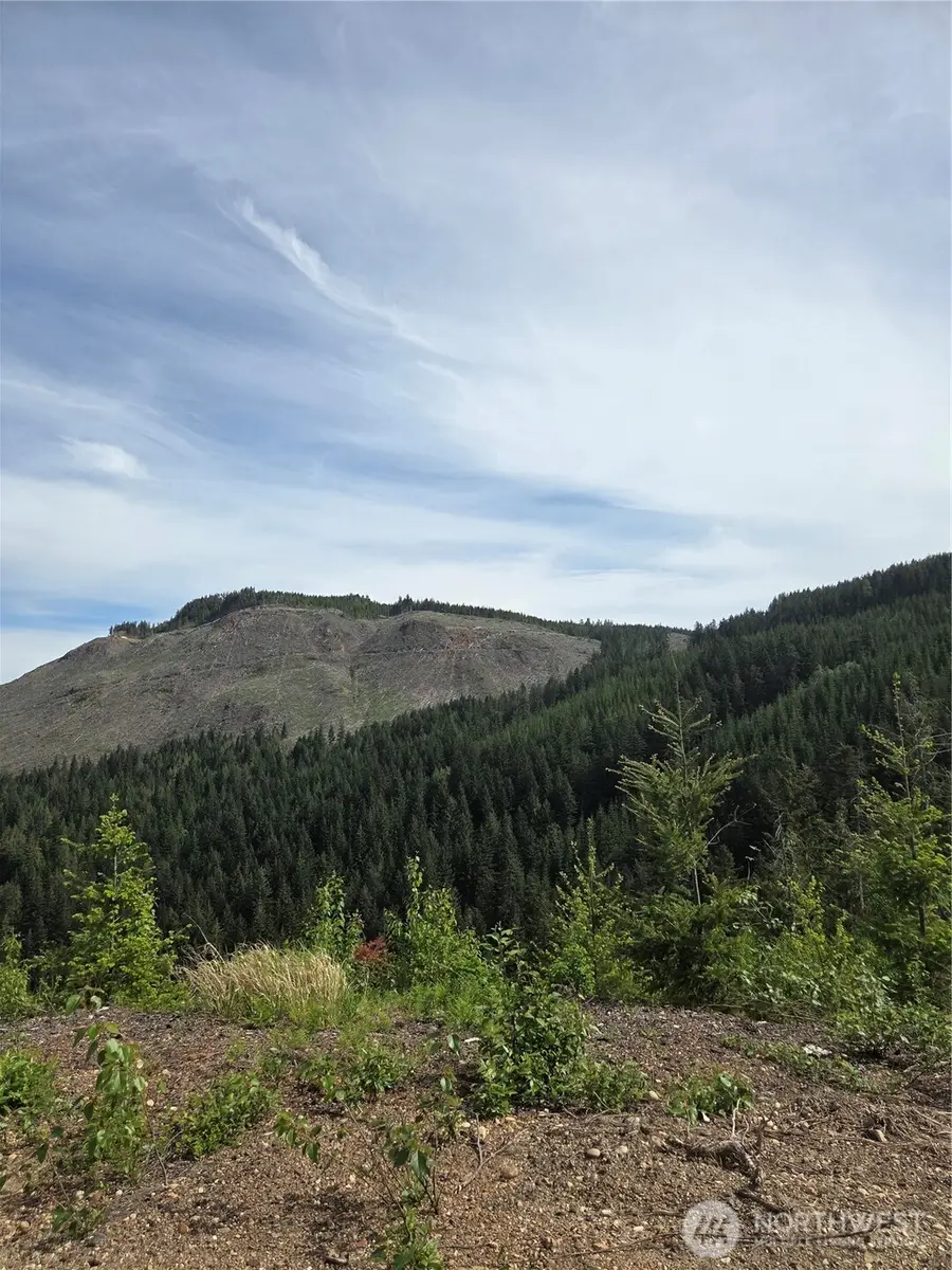 0 Ocean Road, Everson, WA 98247 - #3