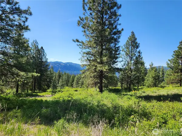 0 Gold Mountain Road #Lot 95, Republic, WA 99166