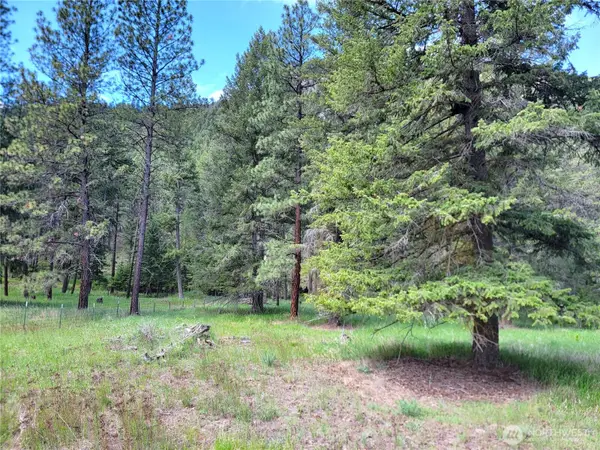 0 Evergreen Drive #Lot 14, Curlew, WA 99118