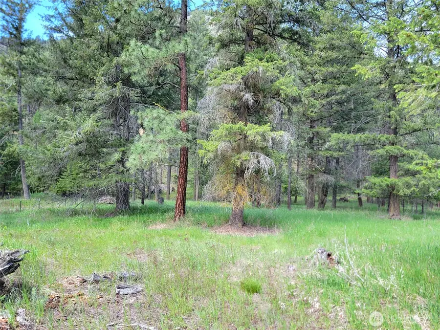 0 Evergreen Drive #Lot 14, Curlew, WA 99118 - #2