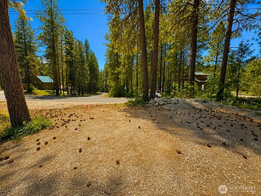 21606 Camp 12 Road #6, Leavenworth, WA 98826 - #2