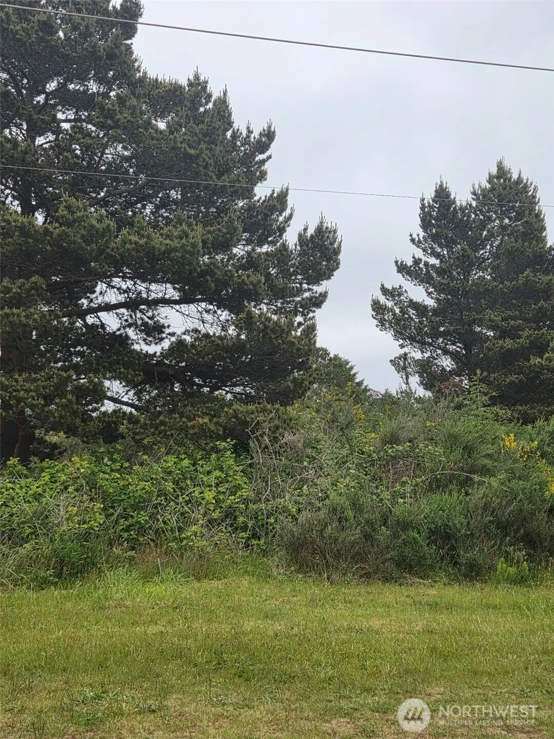 556 Point Brown Avenue Ne #11, Ocean Shores, WA 98569 - #1