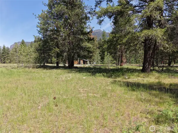 4 Mazama Meadows Lane #6, Mazama, WA 98833