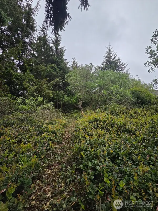624 Wolf Ct Se #276, Ocean Shores, WA 98569