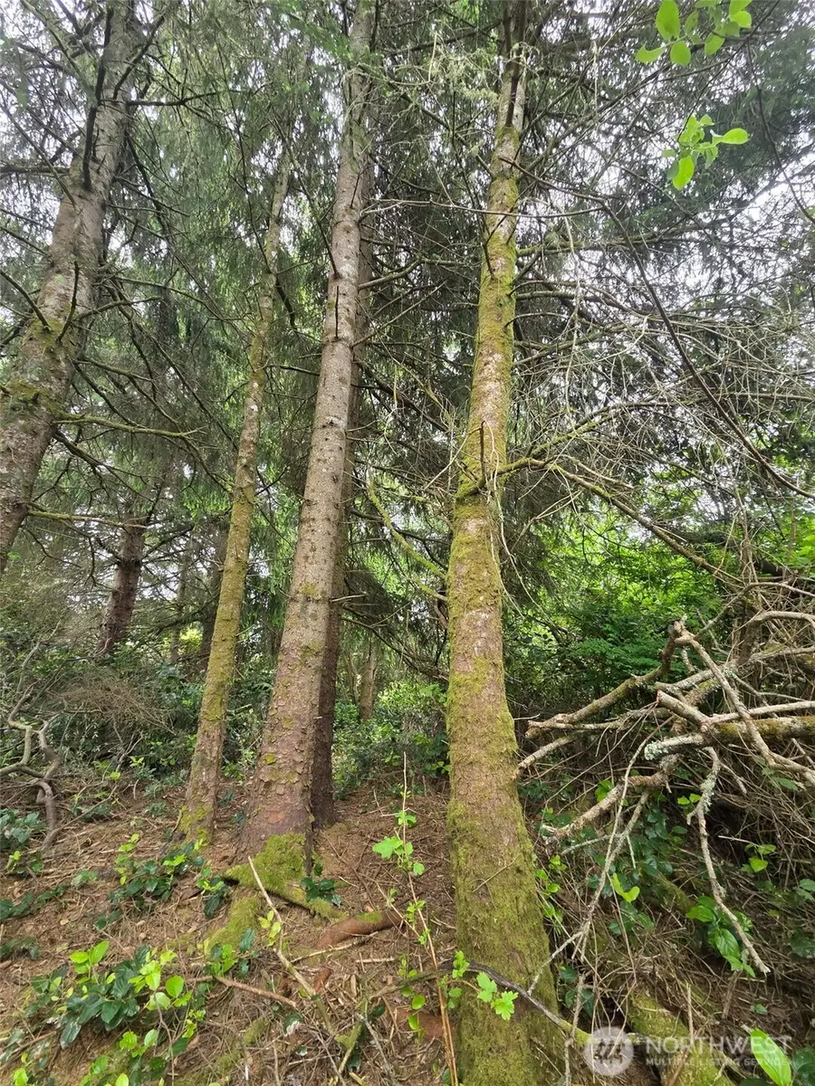 624 Wolf Ct Se #276, Ocean Shores, WA 98569 - #3