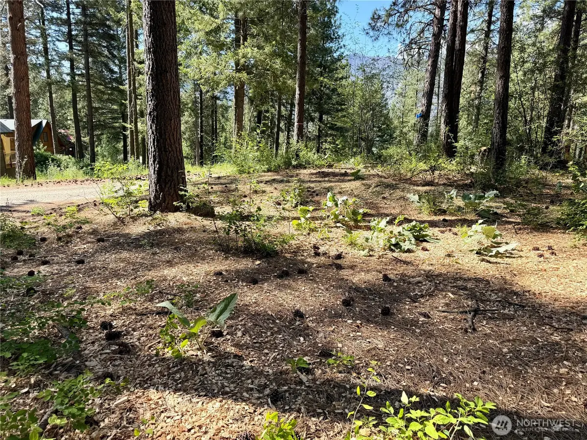 11 Highland Meadows #LOT 464, Winthrop, WA 98862 - #1
