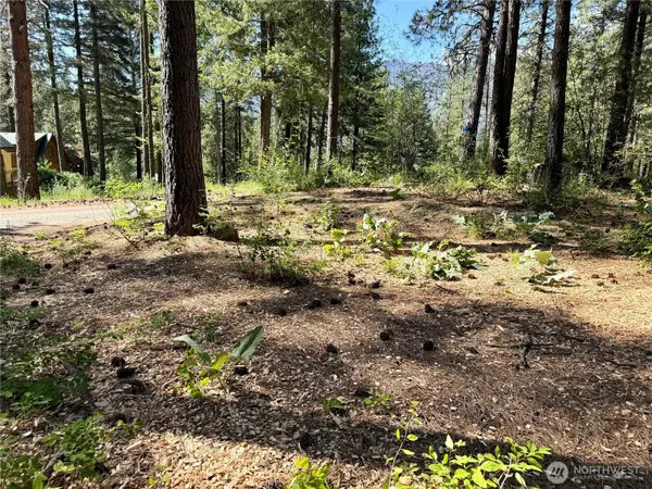 11 Highland Meadows #LOT 464, Winthrop, WA 98862