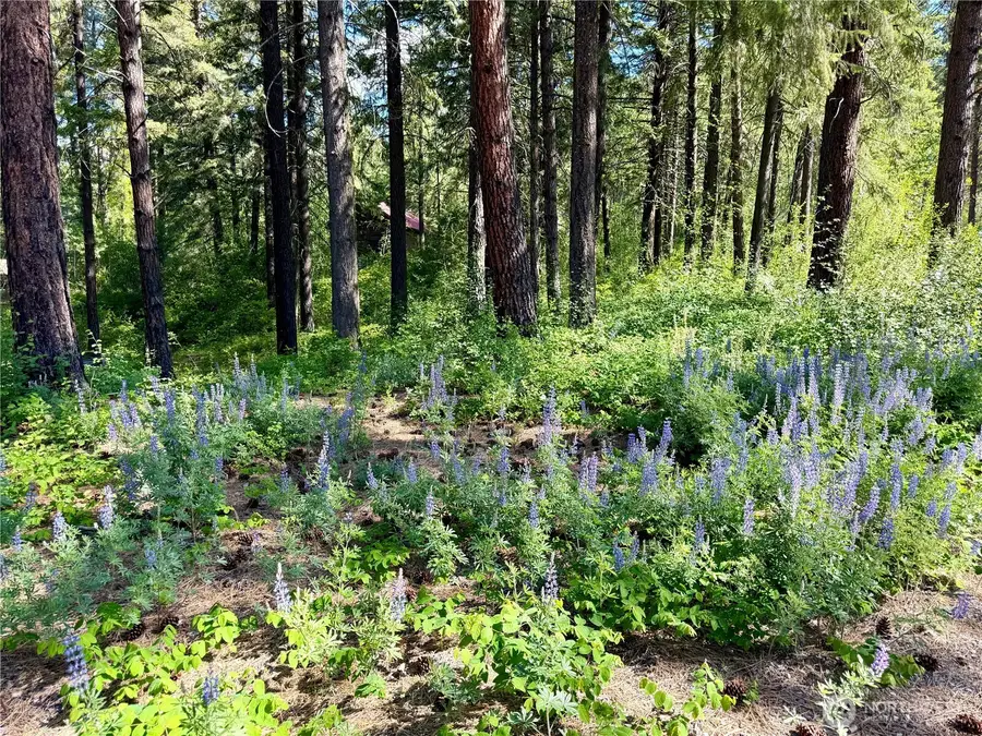 11 Highland Meadows #LOT 464, Winthrop, WA 98862 - #2