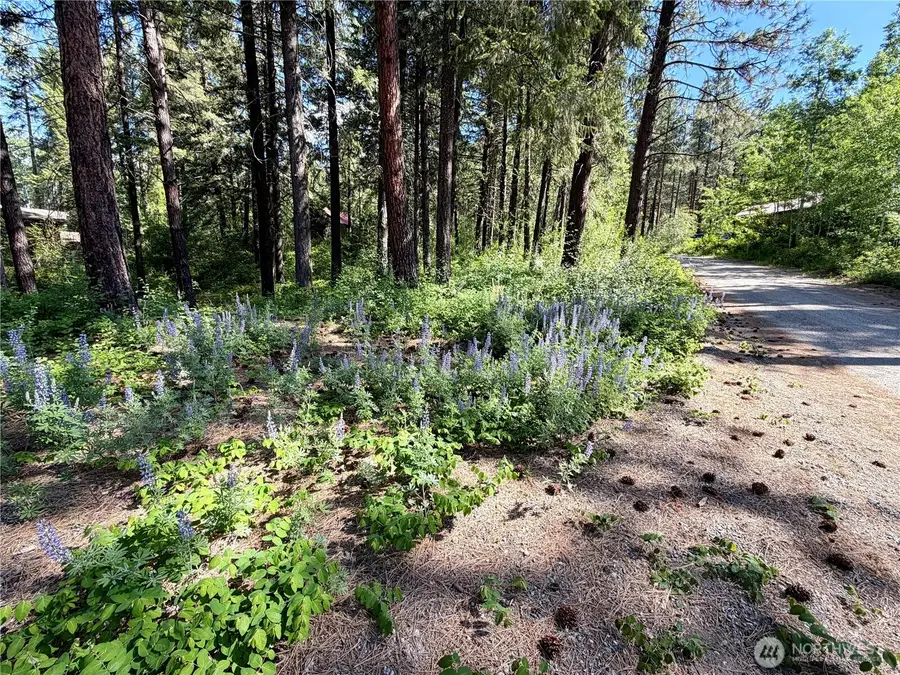11 Highland Meadows #LOT 464, Winthrop, WA 98862 - #3