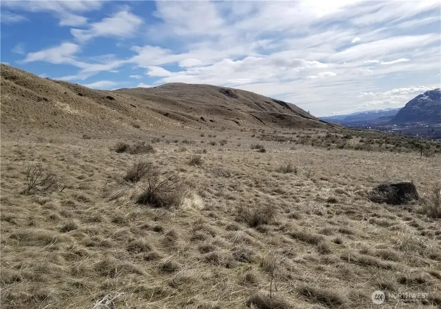 0 Nicholson Road, Tonasket, WA 98855 - #3