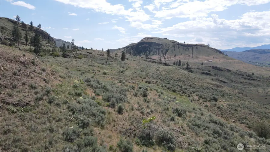 0 Swanson Mill Road, Oroville, WA 98844 - #3