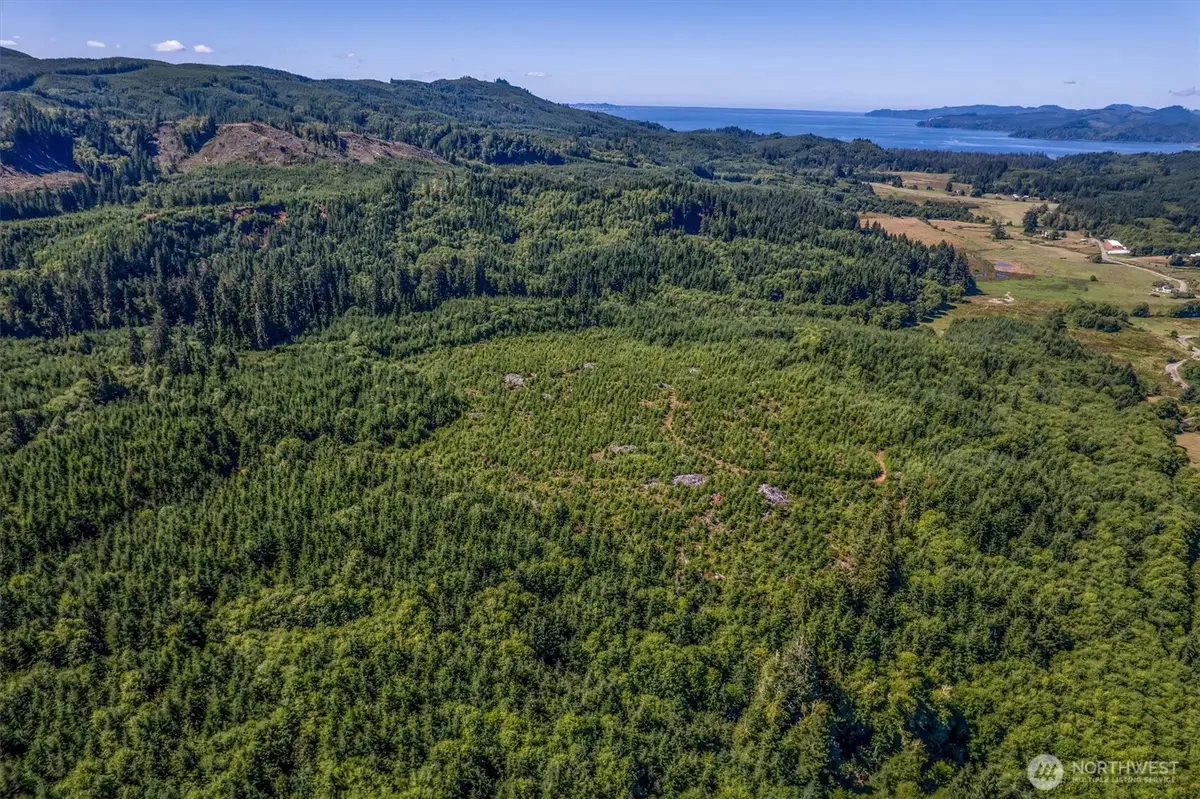 0 Eden Valley Road, Rosburg, WA 98643 - #1