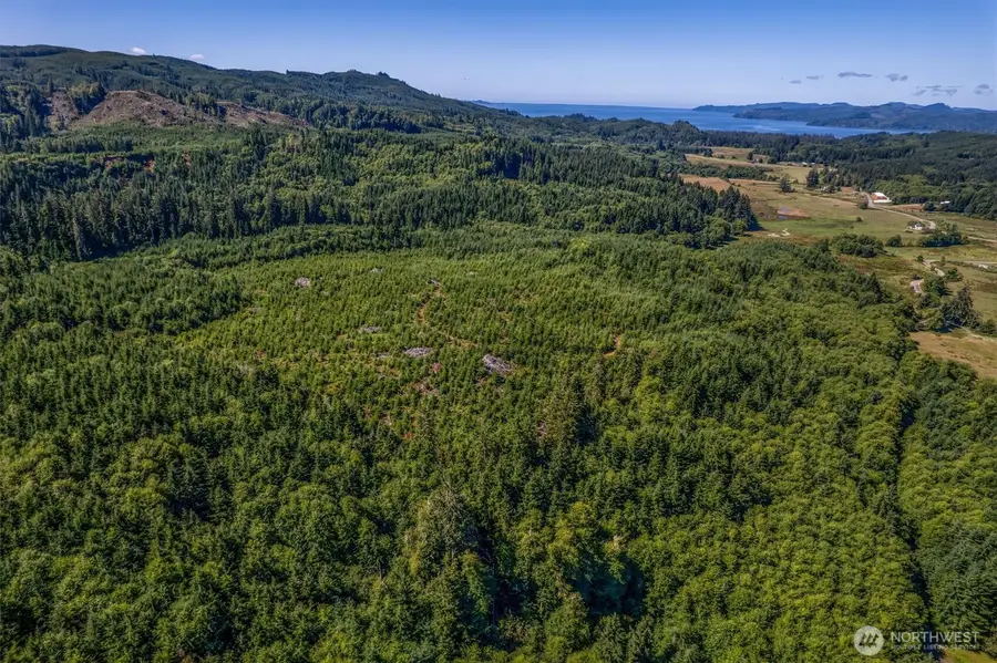 0 Eden Valley Road, Rosburg, WA 98643 - #2