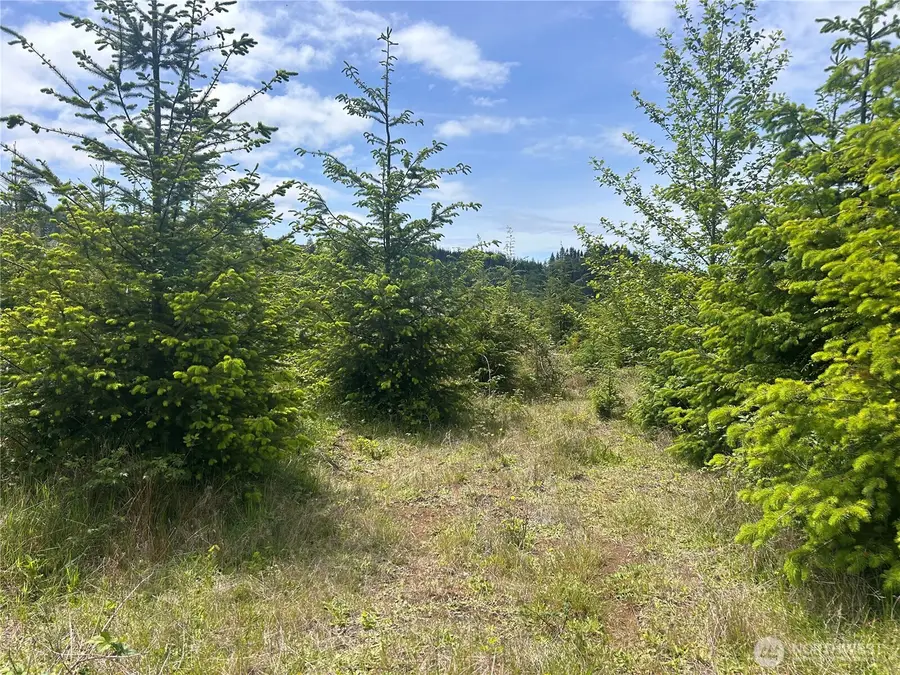 0 Eden Valley Road, Rosburg, WA 98643 - #3