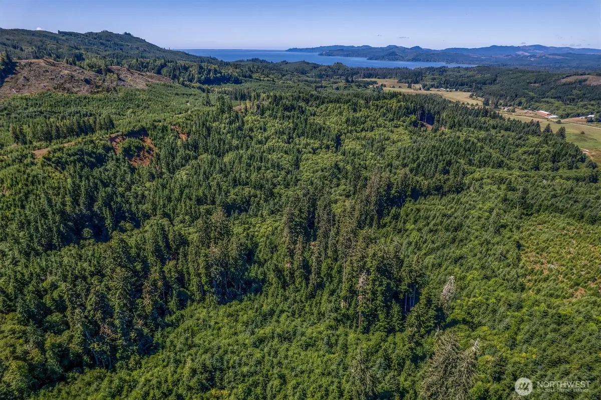 1 Eden Valley Road, Rosburg, WA 98643 - #1