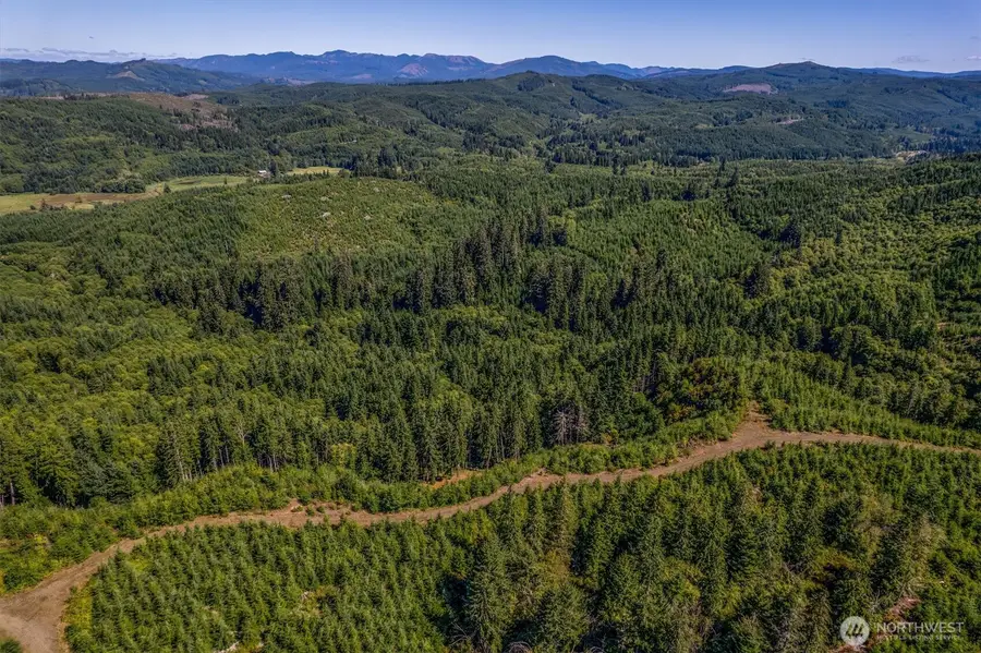 1 Eden Valley Road, Rosburg, WA 98643 - #2