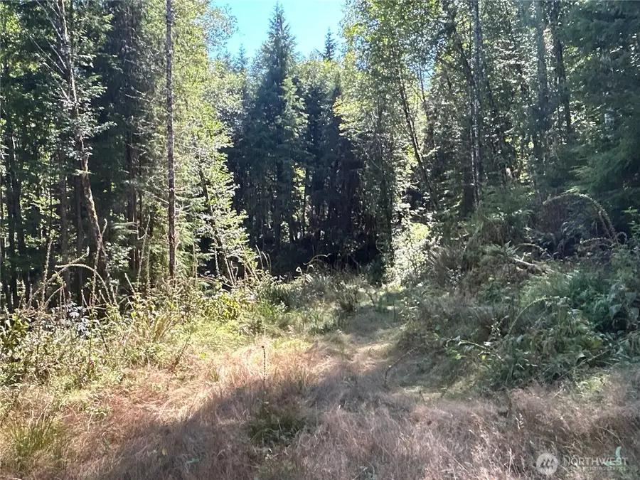1 Eden Valley Road, Rosburg, WA 98643 - #3