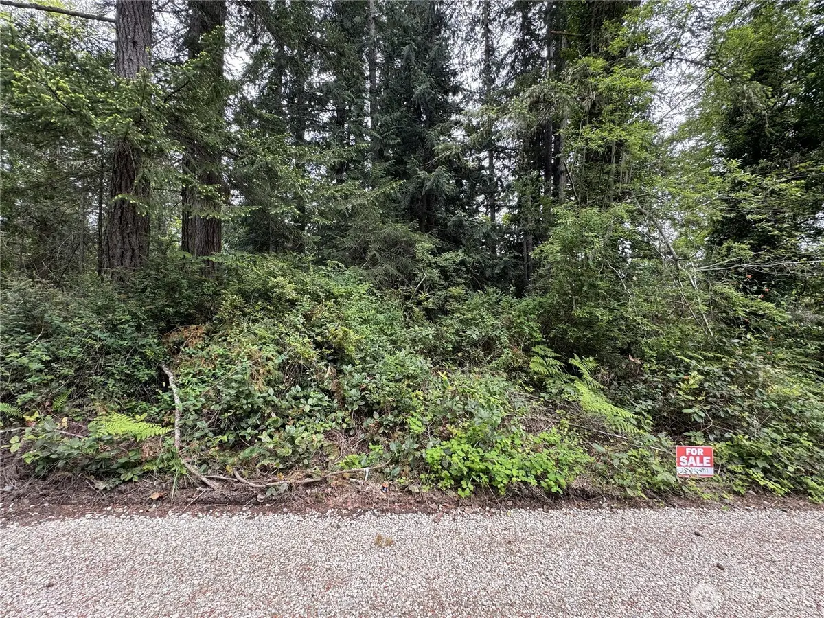0 Moose Road, Quilcene, WA 98376 - #1