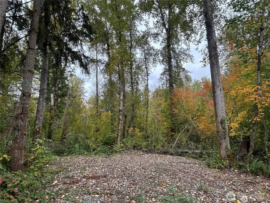 10604 258th Ave E, Buckley, WA 98321 - #3