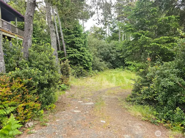 30808 J Place, Ocean Park, WA 98640