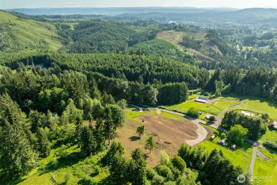 0 Lenora Lane, Kelso, WA 98626 - #2