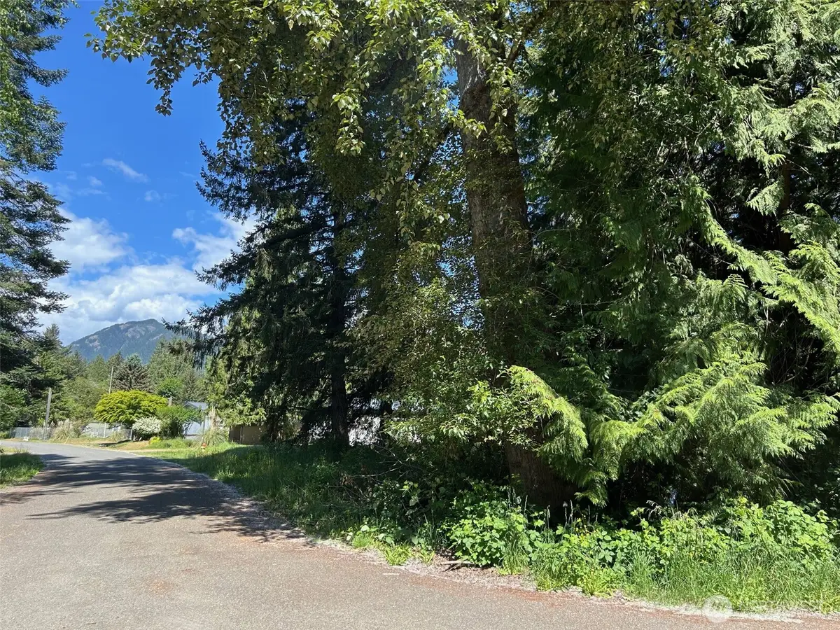 201 Morgan Lane #96 & 97, Brinnon, WA 98320 - #1