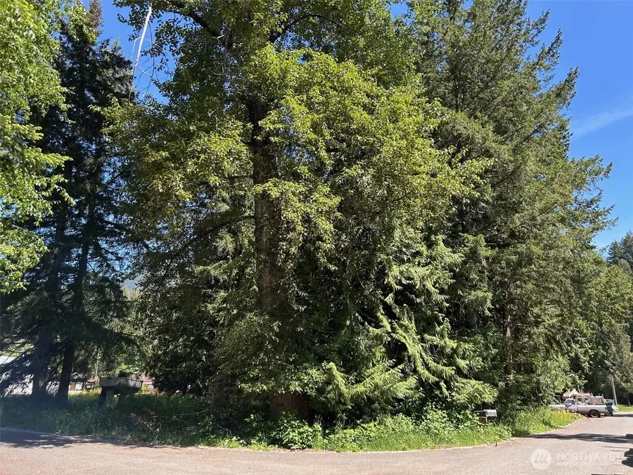 201 Morgan Lane #96 & 97, Brinnon, WA 98320 - #2