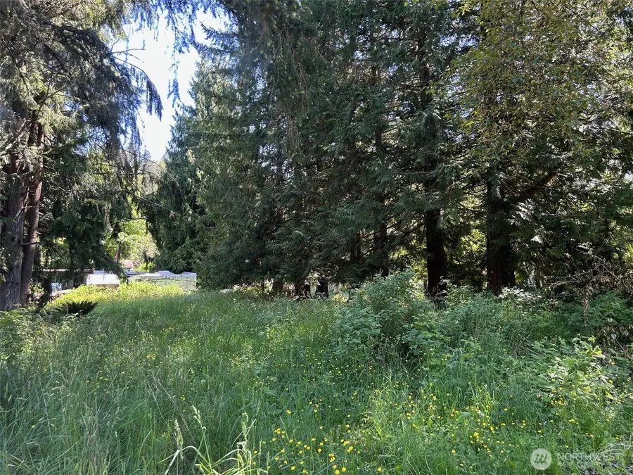 201 Morgan Lane #96 & 97, Brinnon, WA 98320 - #3