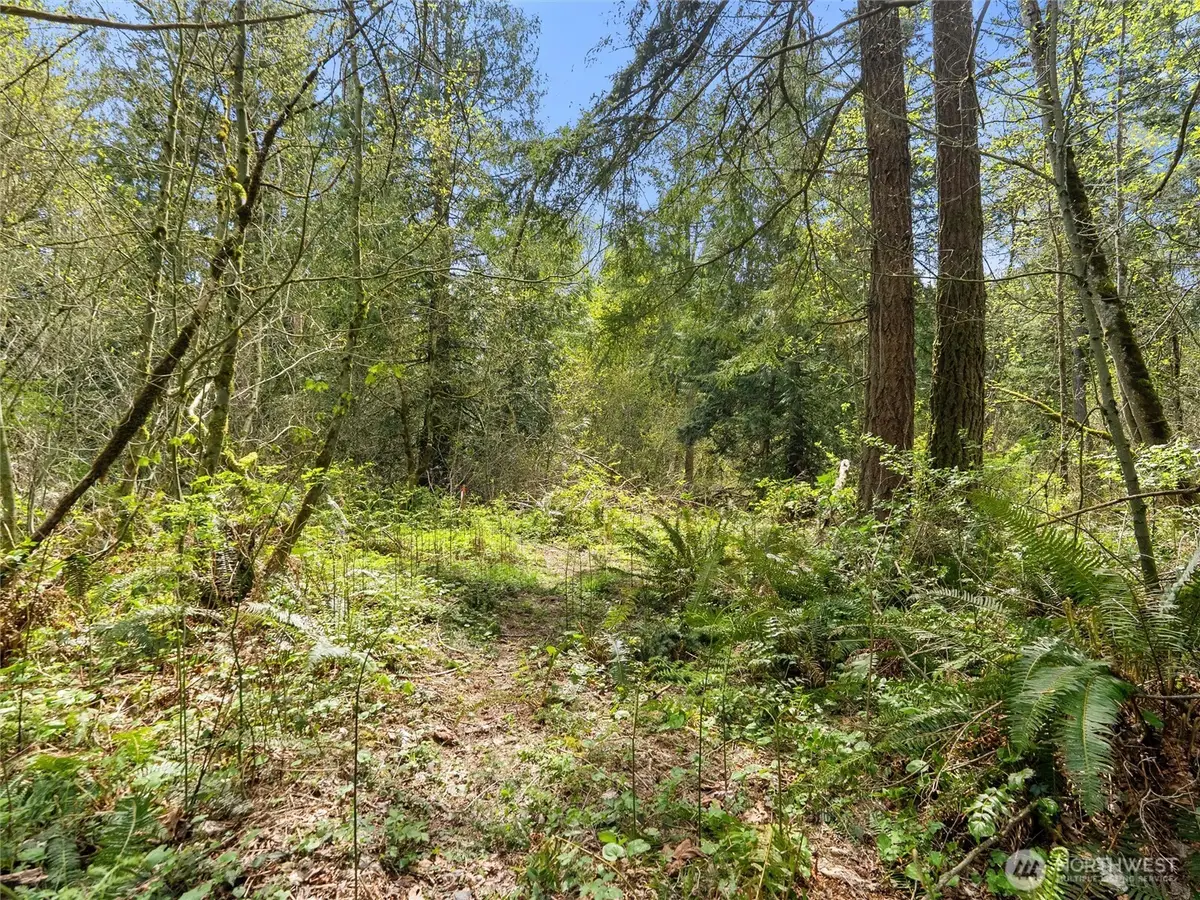 67 258th Avenue Ne, Redmond, WA 98053 - #1