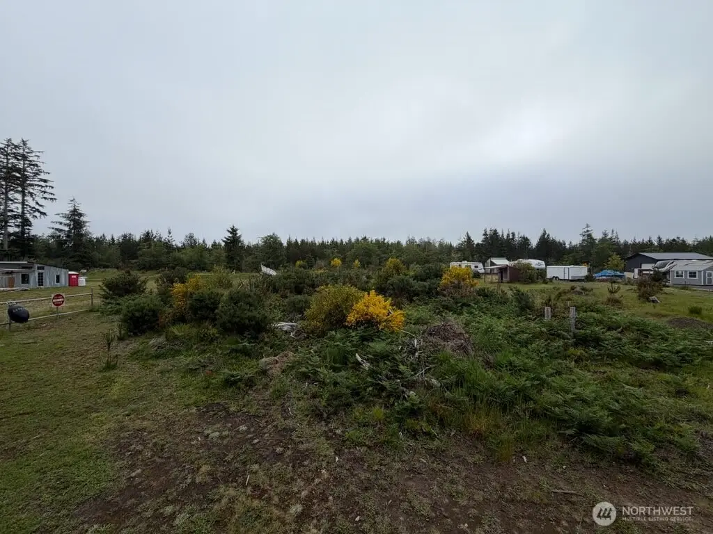 29880 T Lane, Ocean Park, WA 98640 - #1
