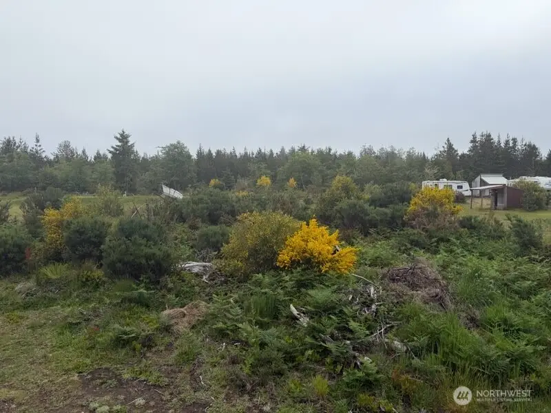 29880 T Lane, Ocean Park, WA 98640 - #2