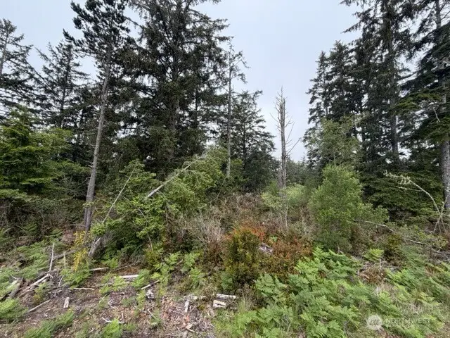 29880 T Lane, Ocean Park, WA 98640 - #3