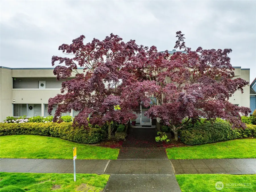 4457 44th Avenue Sw #101, Seattle, WA 98116 - #2