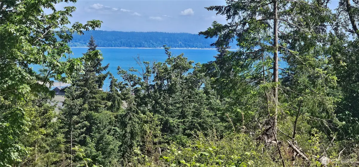 222 Triangle Cove Lane, Camano Island, WA 98282 - #1