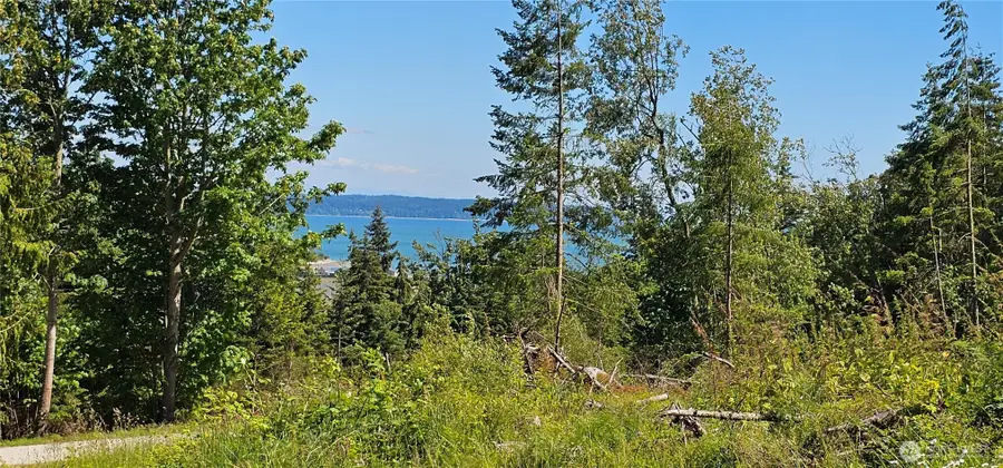 222 Triangle Cove Lane, Camano Island, WA 98282 - #3