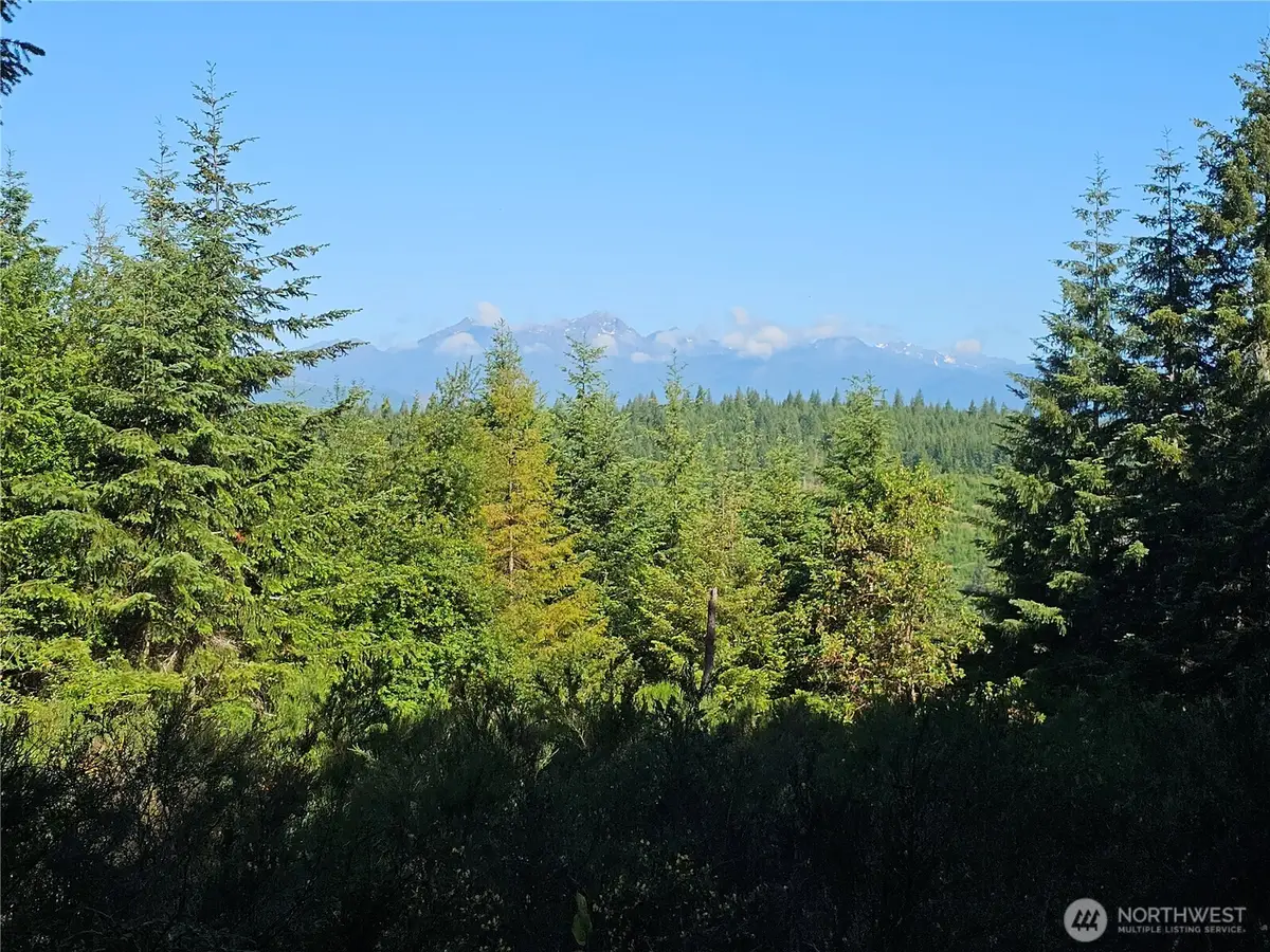 400 Southridge Drive #1, Belfair, WA 98528 - #1