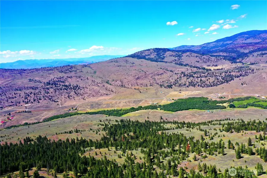333 Patterson Creek, Tonasket, WA 98855 - #2