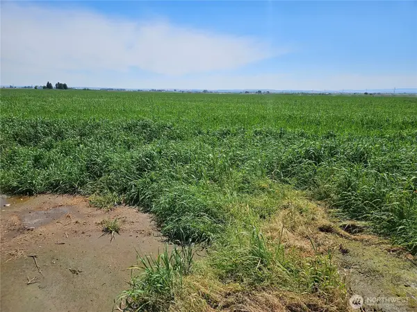 314184000 Highway 281, Quincy, WA 98848