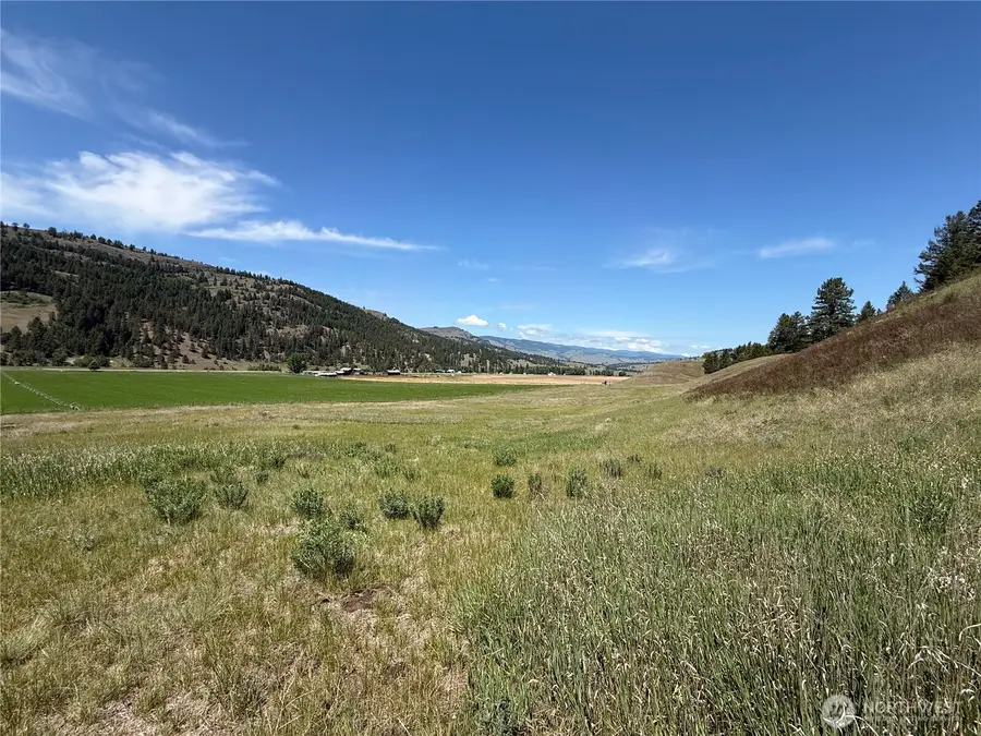 0 Art Creek Road #C, Malo, WA 99150 - #2