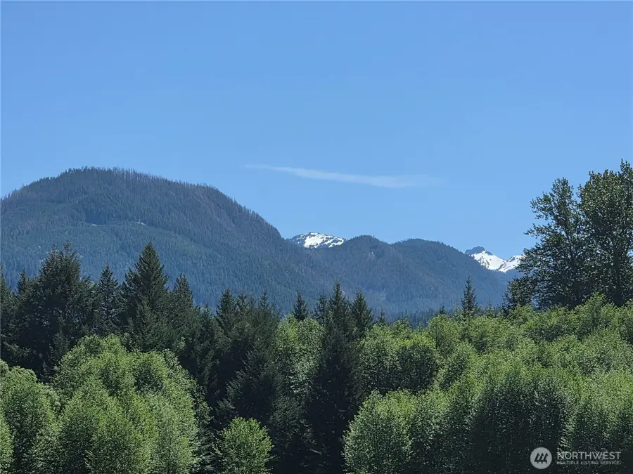 131 Campfire Lane #4, Packwood, WA 98361 - #2