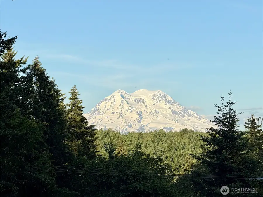 3104 Harts Lake Road S, Roy, WA 98580 - #2