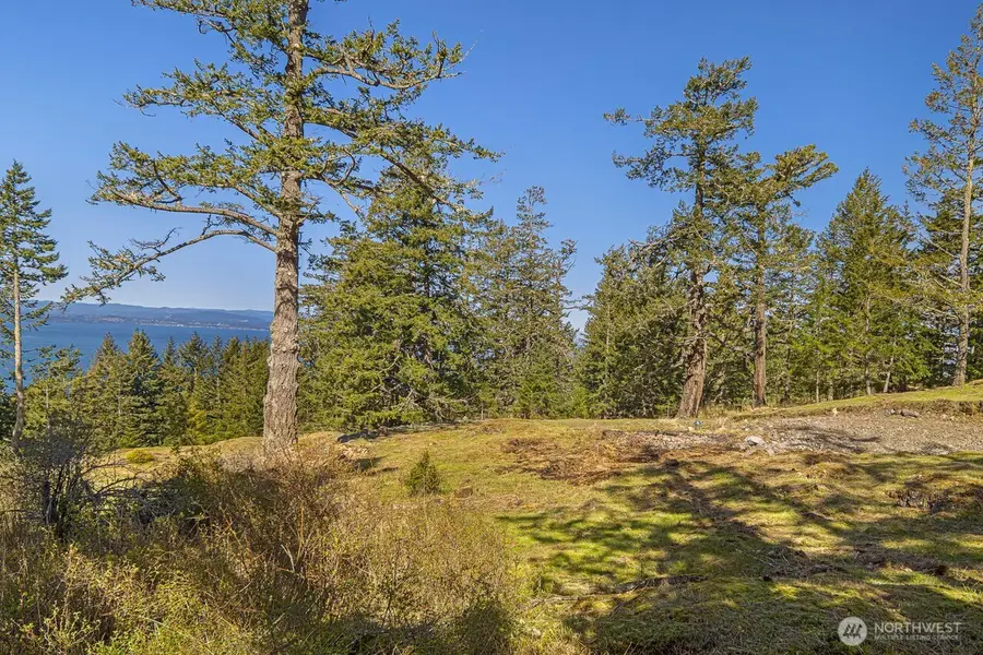30 Rascal Road, Friday Harbor, WA 98250 - #3