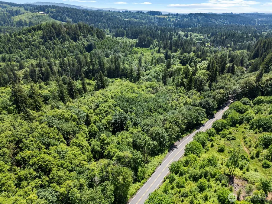 0 Lewisville Highway, Yacolt, WA 98675 - #2